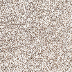 Cosmopolitan Actionbac Carpet