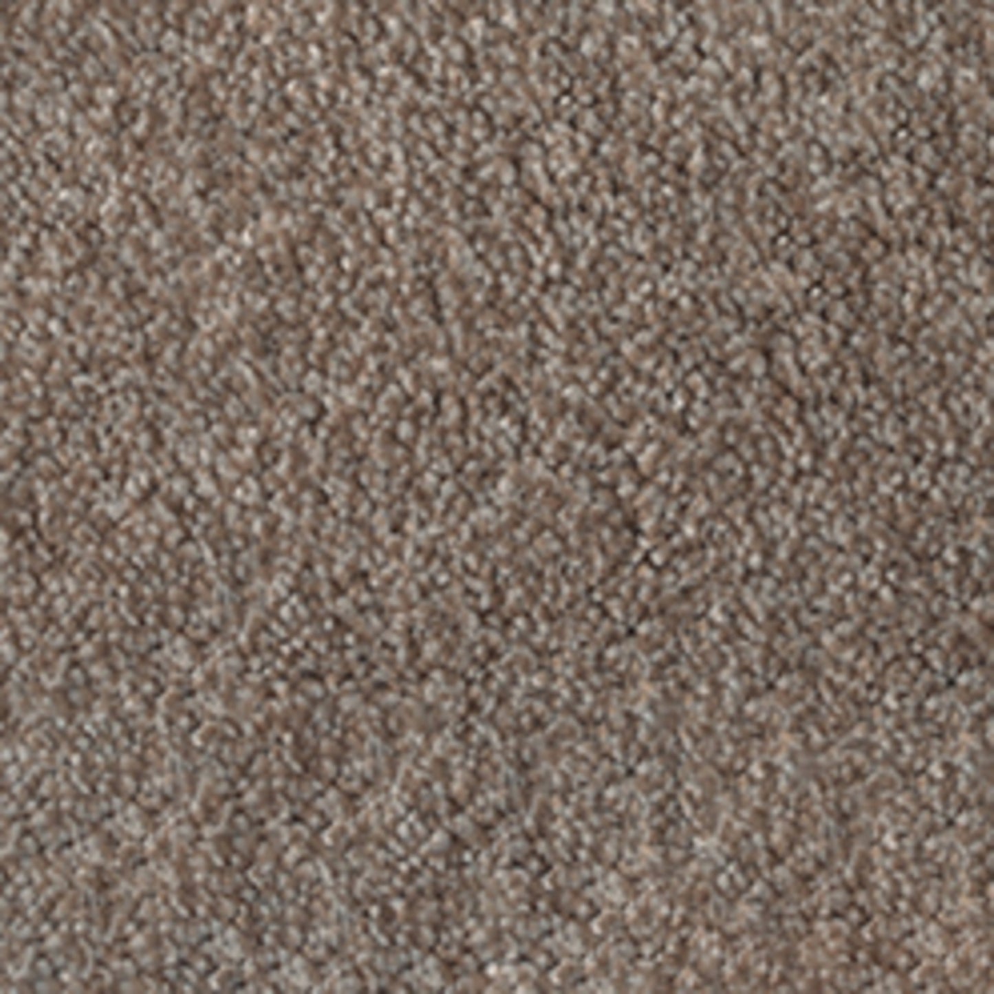 Laguna Twist Pile