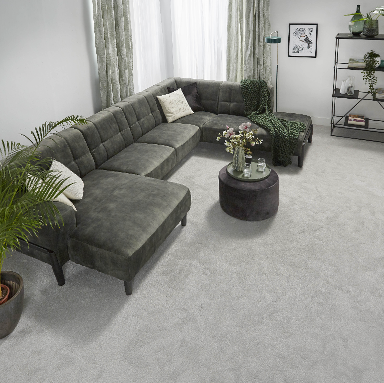 CARPET